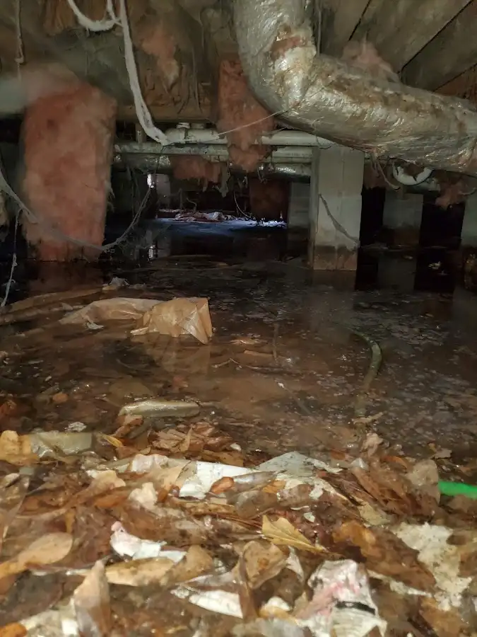 Crawl space flood assessment for Leak Detection & Repair in Rochester